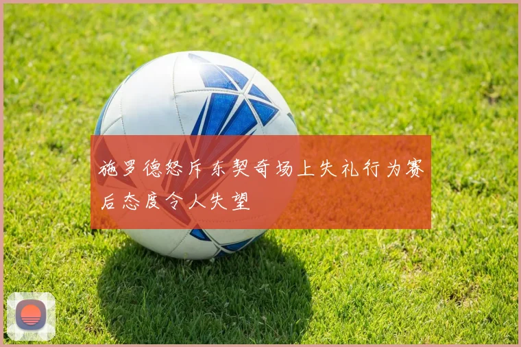 施罗德怒斥东契奇场上失礼行为赛后态度令人失望
